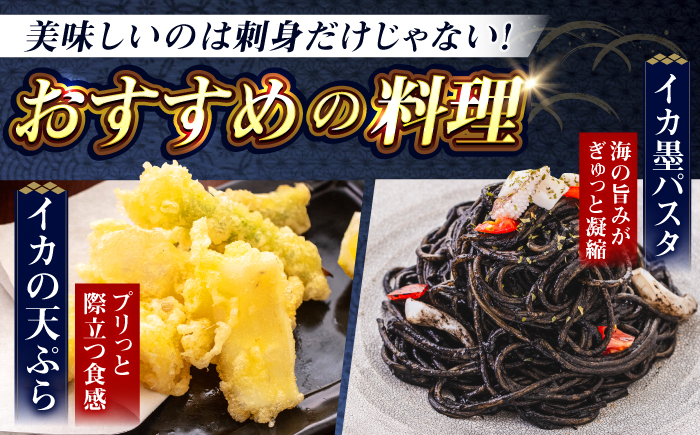 【先行予約】【2027年3月下旬以降順次発送】豊前海産「 コウイカ 」約1kg (3～5杯)《築上町》【明青丸】 [ABCB001] イカ いか 刺身 烏賊 17000円 1万7千円