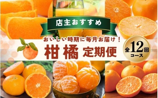 みかん 【全12回】 柑橘 定期便 石本果樹園 店主おすすめの柑橘セットを毎月お届け！ / フルーツ 果物 くだもの 柑橘 フルーツ定期便 くだもの定期便 定期便 フルーツセット くだものセット みかん ミカン 温州みかん 不知火 せとか セミノール ポンカン カラマンダリン 甘夏 清見 オレンジ ジュース みかんジュース 果実飲料 産地直送 旬 人気 おすすめ 詰め合わせ お楽しみ 三重県 紀宝町【tkb507】