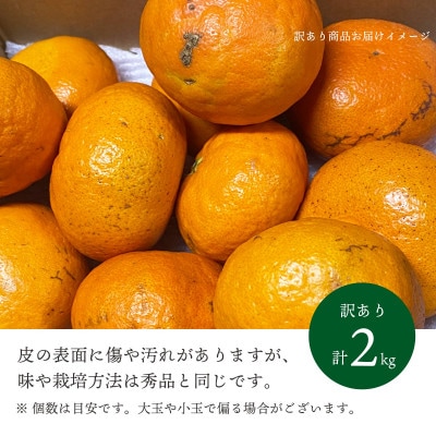 【2026年2月より順次発送】愛媛限定栽培柑橘 甘平(かんぺい)2kg【訳あり】【D25−184】【1608049】