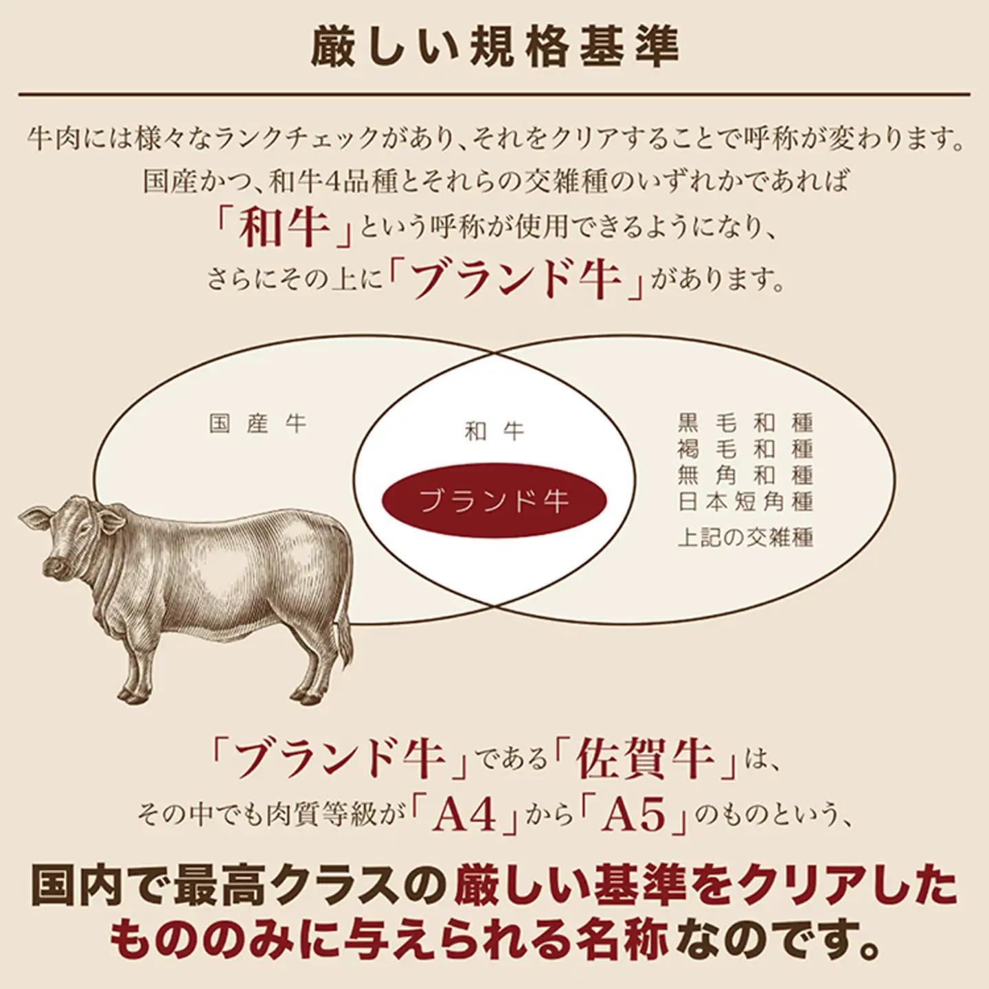 【定期便6回】佐賀牛 ヒレステーキ シャトーブリアン 偶数月発送 定期便 全6回 _g-7