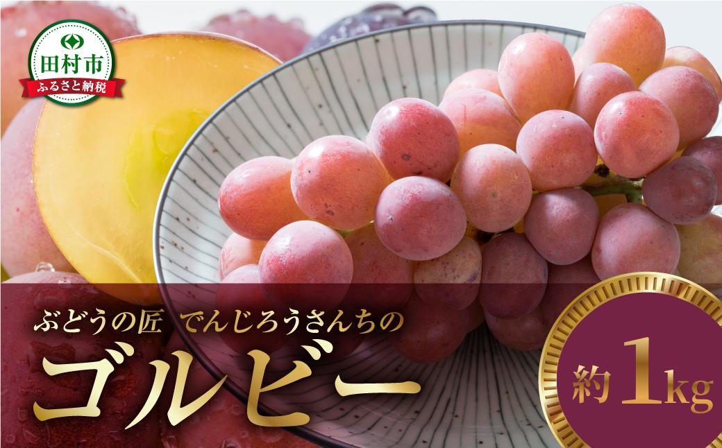 
                  【 先行予約 2026年発送 】 ゴルビー 1kg 冷蔵 高級 種無し 種なし ブドウ ぶどう シャインマスカット 巨峰 品種 果物 甘さ 大粒 家庭用 美味しい 食べ方 ランキング おすすめ 福島県 田村市 福島 ふくしま 鈴木農園 でんじろうさん

                