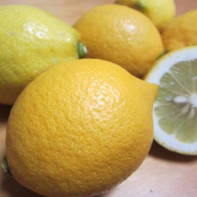 ふるさと納税 美浜町 <先行受付>【国産】紀州和歌山　有田レモン　約3kg |  | 02