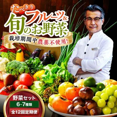 ふるさと納税 大洲市 【全12回定期便】  野菜×フルーツセット 6から7種 単身・二人暮らし用セット [AGBX050]