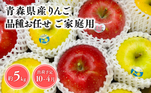 2025年産品種お任せ　【訳あり】家庭用　旬のりんご詰め合わせ5kg