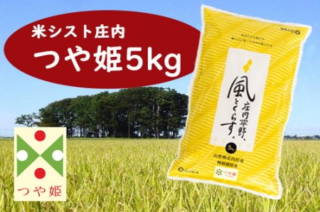 米シスト庄内 庄内平野、風と暮らす つや姫5kg 特別栽培米 令和7年産 2025年産 ブランド米 コシヒカリの原点、亀の尾発祥の地 庄内