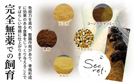 【かしわの川中】超新鮮＆美味！地鶏とり鍋セット 近江しゃも雌雄食べ比べ 計約800g（3〜5人用）[G007]/ しゃも