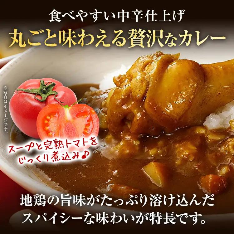 はかた地どり 手羽元カレー中辛 (レトルト・3食) はかた地どり