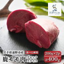 【ふるさと納税】ジビエ 鹿 モモ肉 ブロック or スライス 一種 合計 400g 200g ×2 パック / 遠野ジビエ 鹿肉 シカ肉 モモ 岩手県 遠野市 冷凍 遠野ジビエの里 毘沙門商会 焼肉 焼き肉 BBQ 唐揚げ 赤身 料理 小分け 厳選 ヘルシー 栄養 熟成 天然 自然 猟師 先行予約