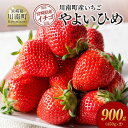 【ふるさと納税】川南町産　いちご「やよいひめ」900g（450g×2） - 期間限定 果物 イチゴ 苺 やよいひめ フルーツ D11202