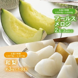 SE0205　【3回定期便】酒田の果物専門店厳選　くだもの定期便2024 (小玉すいか、アールスメロン、和梨)