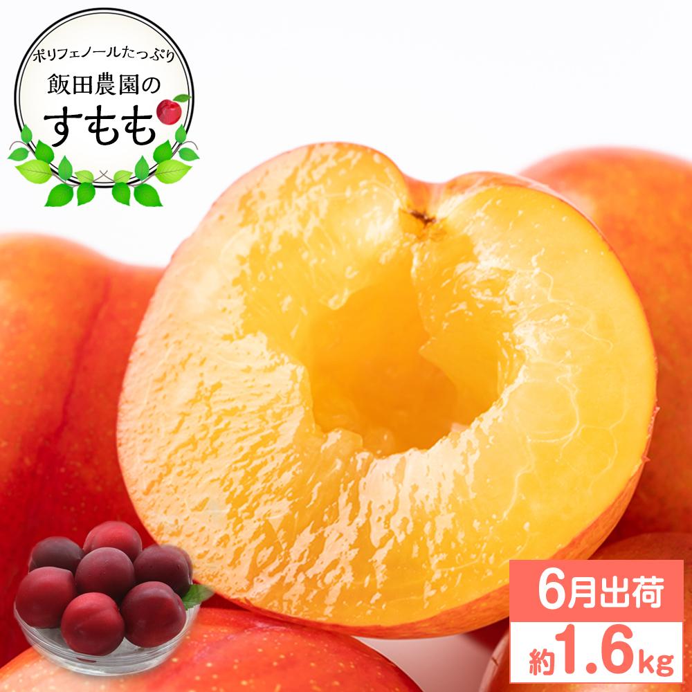 【ふるさと納税】【先行予約】飯田桃園のすもも 1.6kg 6月出荷【スモモ 瀬戸内のスモモ 香川 さぬき市】