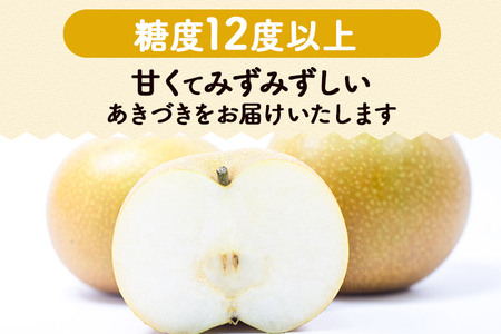 梨 数量限定 利府梨（あきづき）約5kg（10玉前後）先行受付