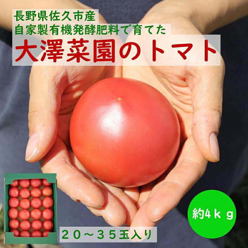 【ふるさと納税】【2026年8月・9月出荷】信州 佐久市産 完熟トマト 約3.5kg（北海道・沖縄・離島は配送不可） 有機JAS トマト 朝どれ とまと 高原野菜 新鮮 期間限定 産地直送 旬彩 長野[大澤菜園]