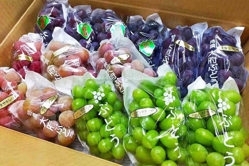 【2024年先行予約・数量限定】園主おまかせ特選ぶどう詰合せ 約２kg  (当園栽培16品種の中より厳選) ＜2024年8月中旬〜発送＞