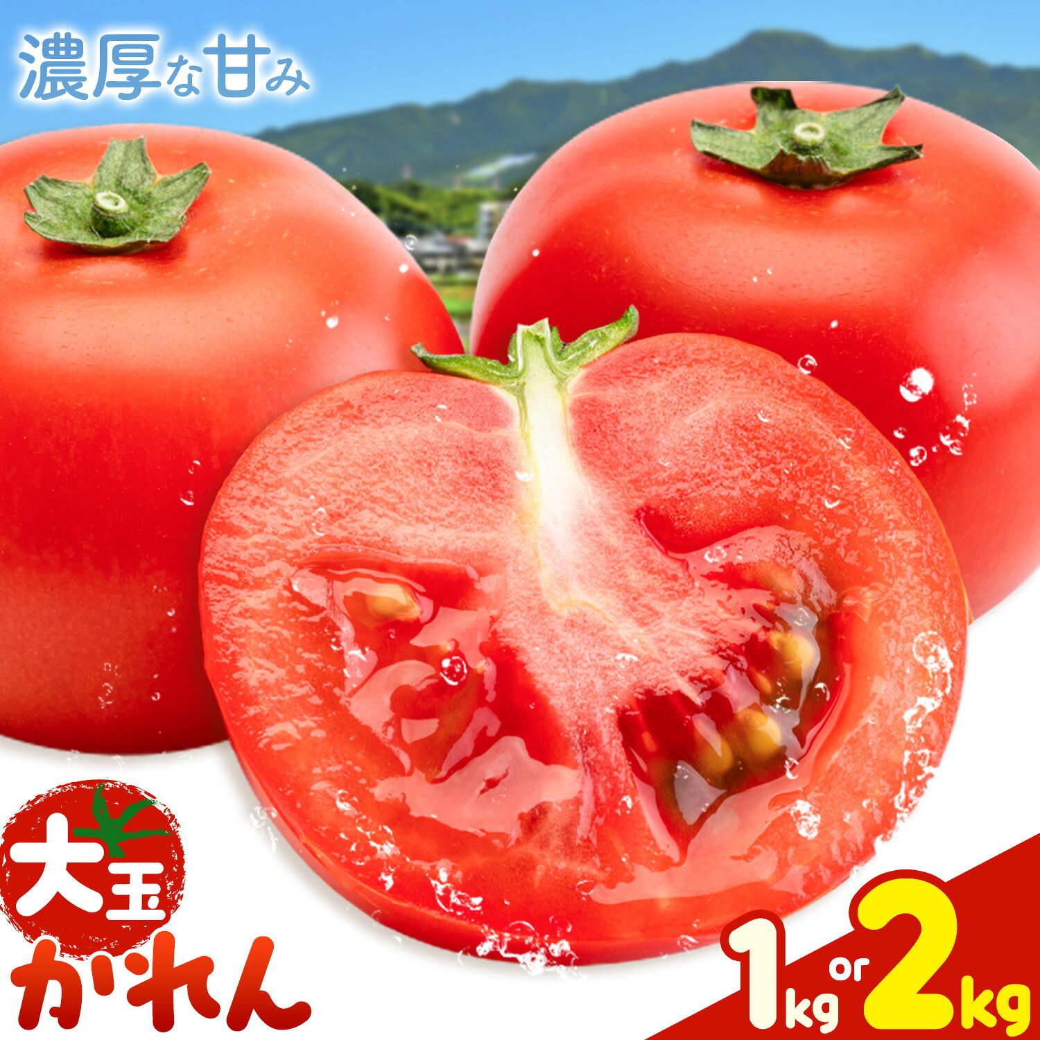 【ふるさと納税】【大津アグリラボ】大玉トマト かれん 選べる内容量 約1kg 約2kg 株式会社中九州クボタ《10月上旬-6月下旬頃出荷》熊本県 大津町 トマト 大玉 野菜