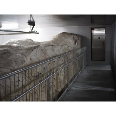 ふるさと納税 上越市 雪むろ棚田米コシヒカリ 20kg 玄米 |  | 03