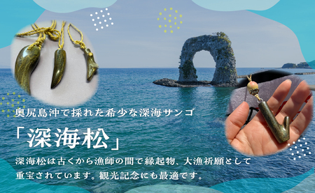 深海松を使ったアクセサリー作り体験 OKUX001