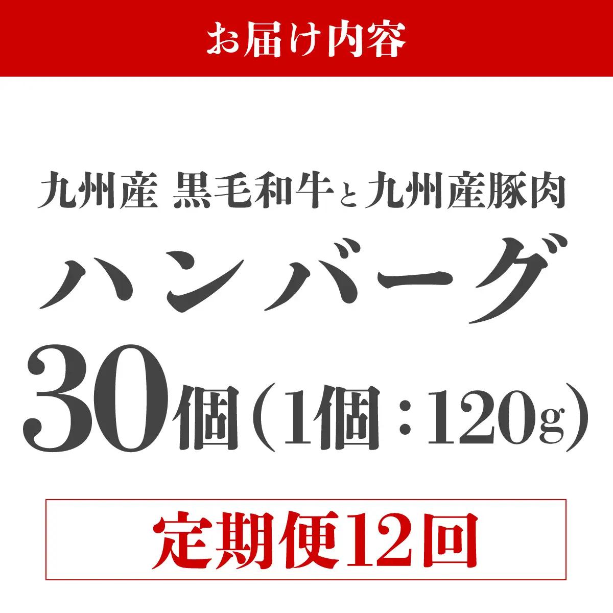 ＜定期便・全12回＞九州産黒毛和牛と九州産豚肉 ハンバーグ 30個セット