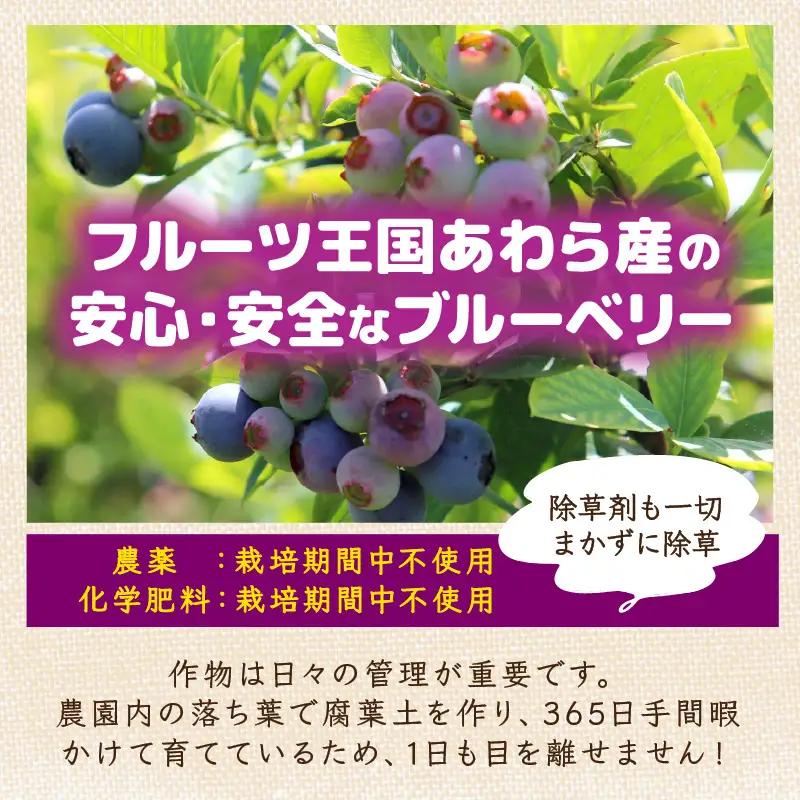 【先行予約】【訳あり】【冷凍】あわらフルーツランドのブルーベリー たっぷり 800g 便利な400g×2袋 【完熟】 / フルーツ 果物 くだもの 冷凍 小分け 完熟 ご当地 国産 おすすめ ※202