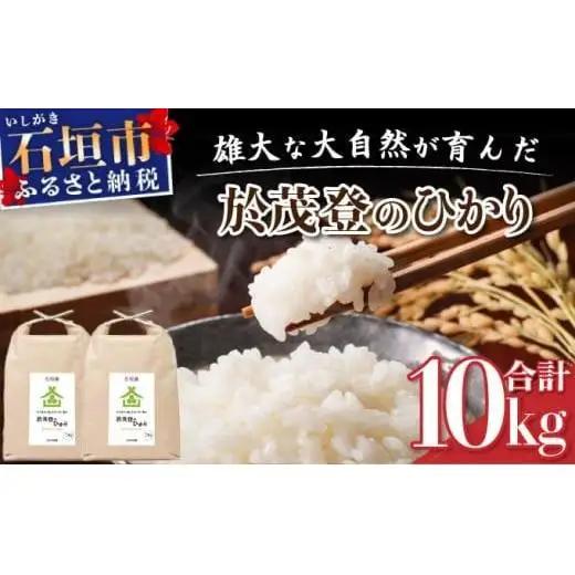石垣島産 於茂登(おもと)のひかり 10kg みやぎ米屋　MK-2 
