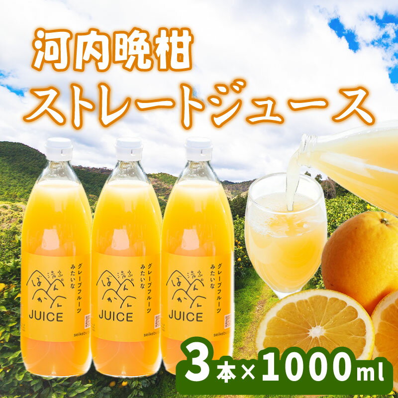 【ふるさと納税】河内晩柑ストレートジュース 3本×1000ml 100% 河内晩柑 愛南ゴールド ジュース 柑橘 蜜柑 かんきつ 冬 秋 旬 正月 愛媛 愛媛県 愛南町 お歳暮 プレゼント ギフト 高級 くだもの ジュース 果物 おやつ お菓子 和菓子 清家ばんかんビレッジ
