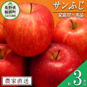 【ふるさと納税】 りんご サンふじ 家庭用 ～ 秀 3kg やまじゅうファーム 沖縄県への配送不可 令和6年度収穫分 信州の環境にやさしい農産物 減農薬栽培 長野県 飯綱町 【 信州 果物 フルーツ リンゴ 林檎 長野 12000円 】発送時期：2024年11月下旬～2024年12月中旬{**}