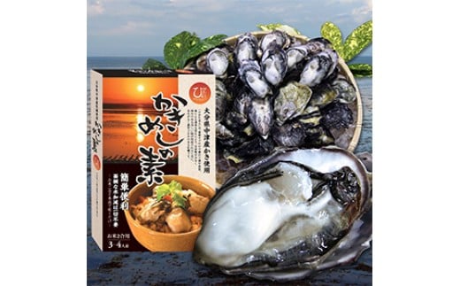 【先行予約】【期間限定】ひがた美人 (牡蠣 30粒) ・かきめしの素セット 2合分 牡蠣飯の素 養殖 冷蔵 かき 大分県産 九州産 中津市 国産 熨斗対応可
