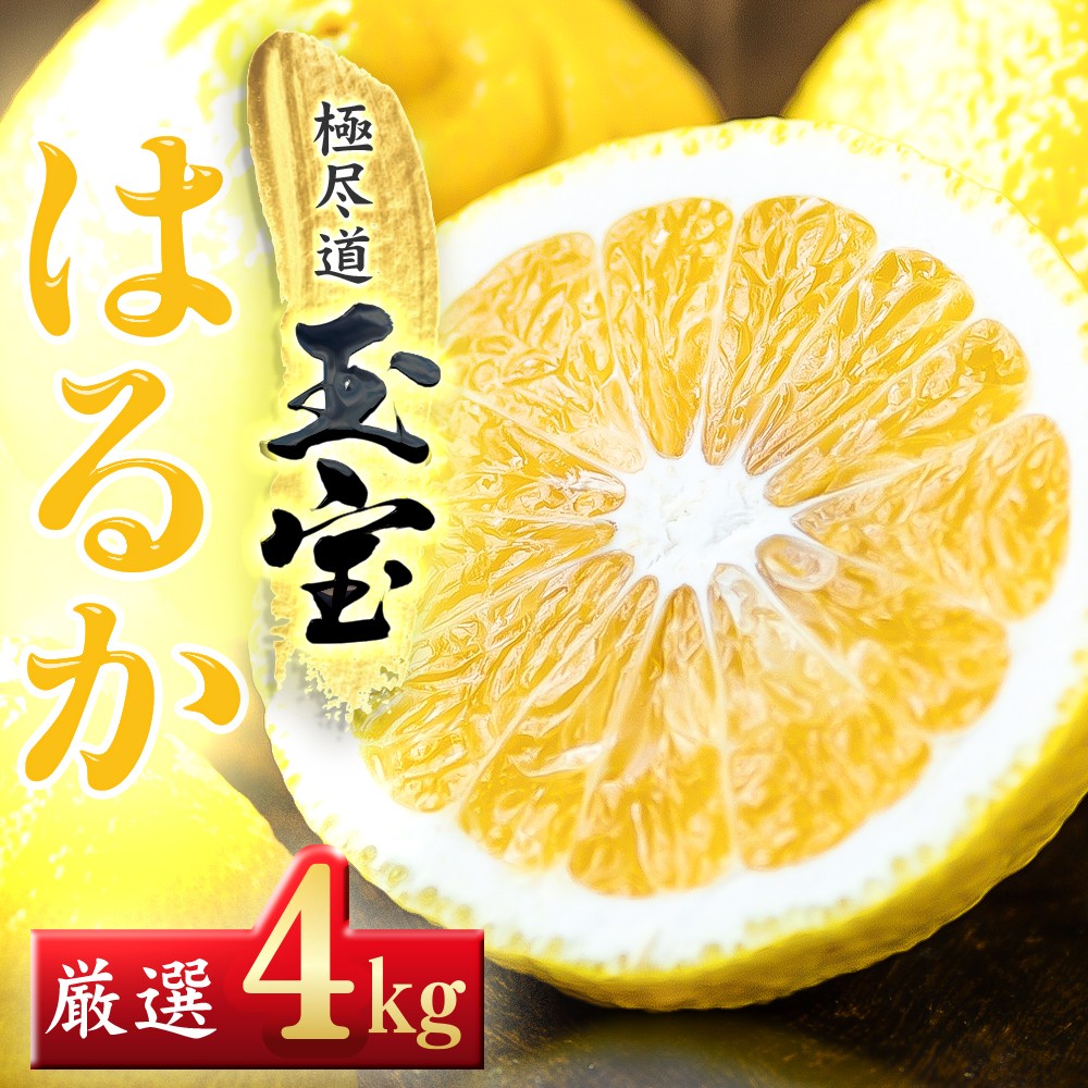 
                  ＜愛媛名産＞玉宝はるか　4kg＜C64-55＞【1511256】 YWTY044
                