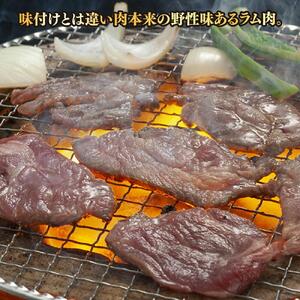 柔らか厚切り生ラムジンギスカン　500ｇ　たれセット | ジンギスカン _01185
