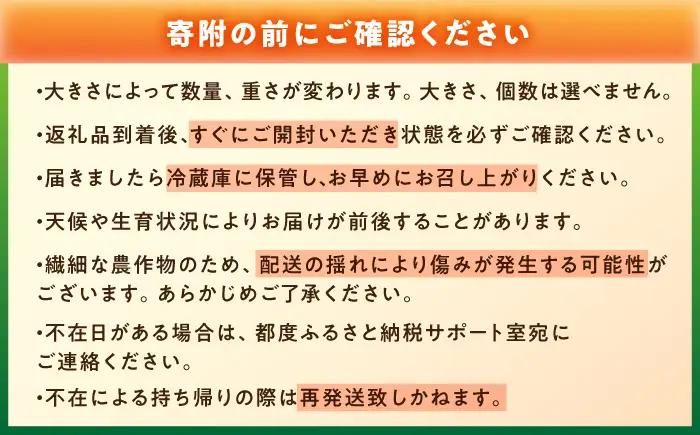 【2週間以内に発送！】 大玉トマト 2種 詰合せ 4kg [AUAH013]大玉トマト