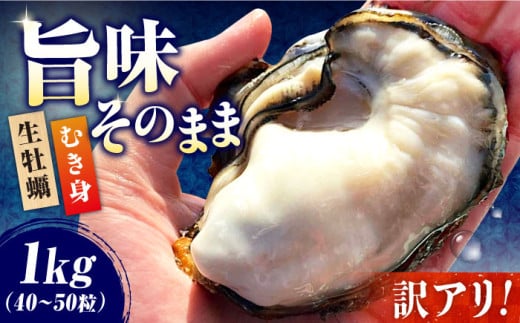 訳あり 牡蠣 むき身 味はそのまま！【生牡蠣】【訳あり】むき身 たっぷり 1kg 牡蠣 かき カキ 無選別 海鮮 和食 新鮮 冷蔵 簡単 広島県産 牡蠣 生食 むき身 殻付き 殻付 殻 かき カキ 生牡蠣 広島牡蠣 オイスター カキフライ 魚介類 魚介 貝類 海鮮 広島県産 国産 産地直送 贈答 ギフト 特産品 江田島市/株式会社かきうち [XBK016]