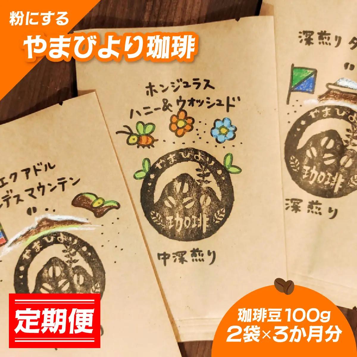 【定期便】【粉にする】やまびより珈琲【珈琲豆100g 2袋×3か月分】 飲み比べ 2種類  HNNAF009