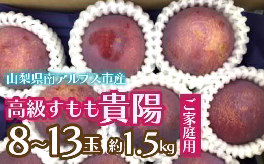 ＜2026年発送先行予約＞【ご家庭用】高級すもも「貴陽」約1.5kg（6～10玉） ALPCZ016
