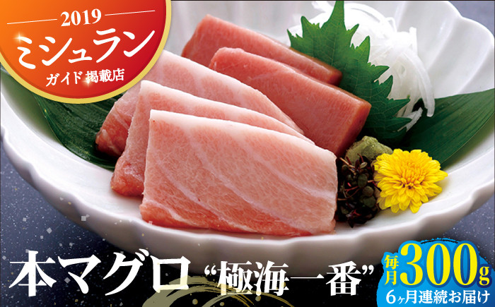 
            【全6回定期便】本マグロ 極海一番 計1.8kg （約300g×6回） 平戸市 / 囲炉裏料理 エビス亭 [KAC136]
          