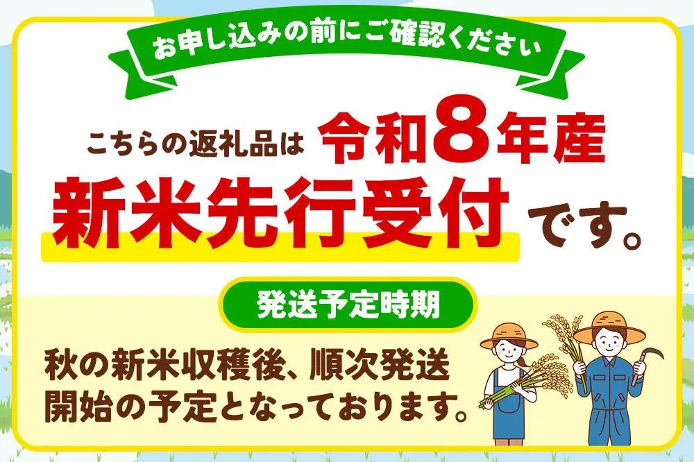 【数量限定】令和8年産 新米受付 ひとめぼれ 5kg 【白米】 秋田市産