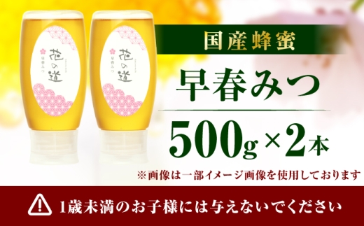 早春みつ 2本（500g×2）　広川町 / 株式会社九州蜂の子本舗 [AFAI046]