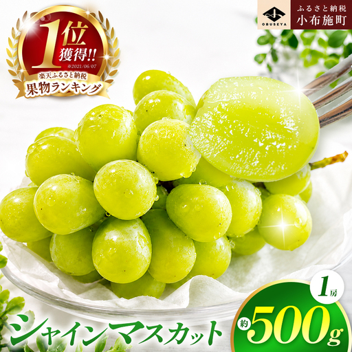 先行受付 シャインマスカット 約500g 1房 ［小布施屋］ フルーツ 果物 くだもの ぶどう 葡萄 ブドウ クール便配送 長野県産 産地直送 令和8年産 【2026年9月20日頃～11月頭にかけて順次発送】