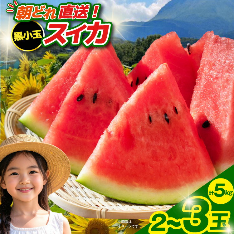 黒小玉スイカ「ひとりじめBonBon」 5kg(1.7kg以上×2~3玉) 〜名水百選の里 島原産〜