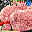 【ふるさと納税】【A5A4等級】博多和牛サーロインステーキ用500g(2枚入)　お取り寄せグルメ　お取り寄せ 福岡 お土産 九州 ご当地グルメ 福岡土産 取り寄せ 福岡県 食品