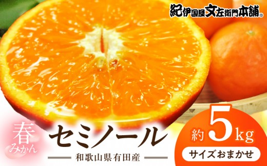 
                  セミノールオレンジ [約5kg] 和歌山県有田産 春みかん (果実サイズおまかせ) 春柑橘 紀伊国屋文左衛門本舗_V7417
                