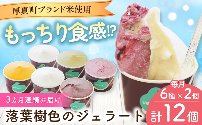 
                  【全3回定期便】落葉樹色のジェラート6種×2セット 《厚真町》【株式会社クーバル】 ジェラート アイス セット アソート 米粉 詰め合わせ スイーツ 北海道 定期便[AXBQ033]
                