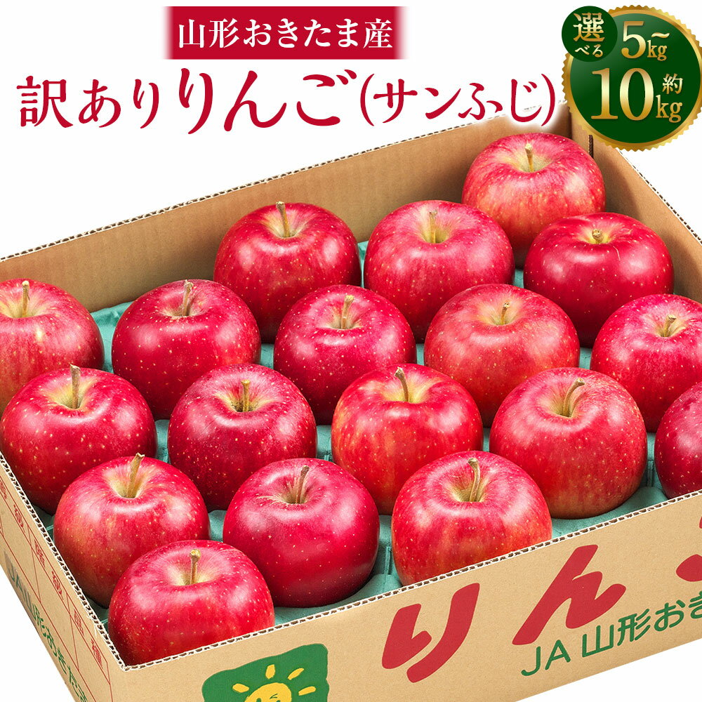 【ふるさと納税】 【訳あり品】山形おきたま産 りんご （サンふじ）（〇秀） ＜選べる容量＞【14玉～23玉（約5kg）／28玉～46玉（約10kg）】 リンゴ 林檎 果物 くだもの フルーツ 山形県産 送料無料【2026年11月下旬～12月上旬発送予定】
