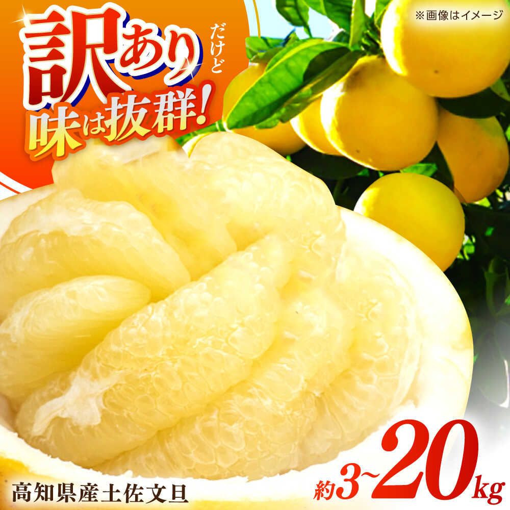 【ふるさと納税】高評価★4.71 高知県産 訳あり 土佐文旦 約 3kg 5kg 10kg 20kg 〈2027年1月下旬〜発送〉 【四国健商】[ATAF038] ＼選べる容量／ 大容量 旬 文旦 みかん 柑橘 ぶんたん ブンタン 果物 フルーツ 訳あり 訳アリ わけあり ワケアリ 理由あり