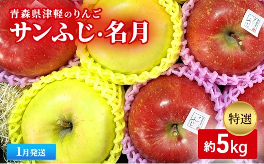 
                  【1月発送】【里いちみfarm】青森県津軽のりんご　特選「サンふじ・名月」約5kg
                