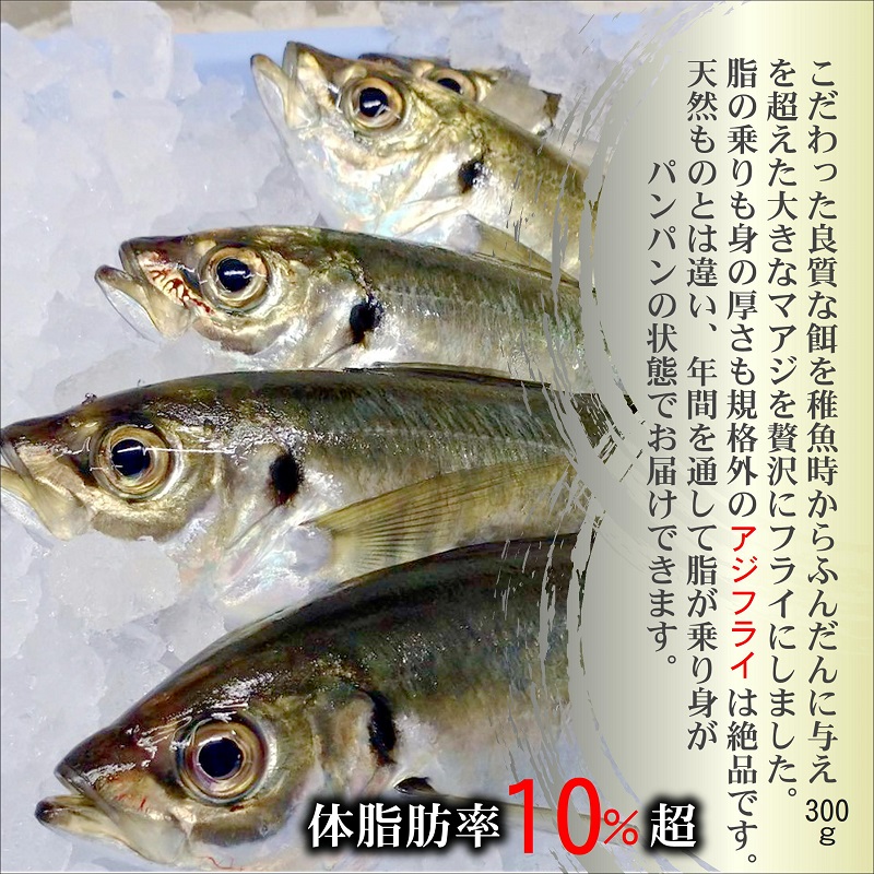 「アジフライの聖地 松浦」体脂肪率10%以上!養殖真あじのふっくらサクサク大判アジフライフィーレ( アジフライ アジ あじ 鯵 揚げ物 魚 フライ お弁当 おつまみ 海産物 魚介類 )【B4-139】