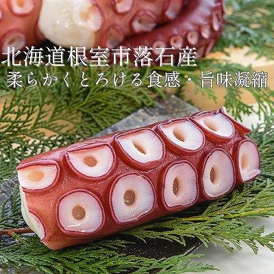 ふるさと納税 根室市 ＜12/14まで年内配送＞★ボイル水たこ足ブロック2P(計900g) A-20009 |  | 01