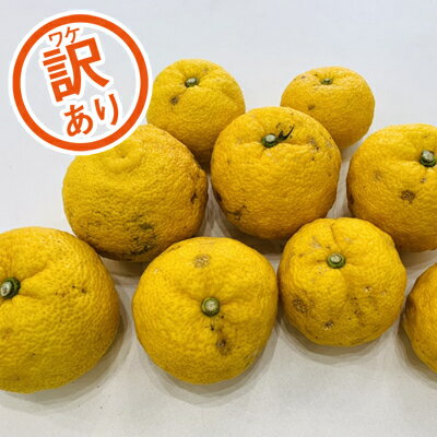 【ふるさと納税】 みかん職人の柚子（ゆず）訳あり品 5kg 果物 柑橘 フルーツ 柚子 ユズ ゆず ふるさと納税訳あり ふるさと納税ゆず 愛媛県 愛南町 みかん職人武田屋
