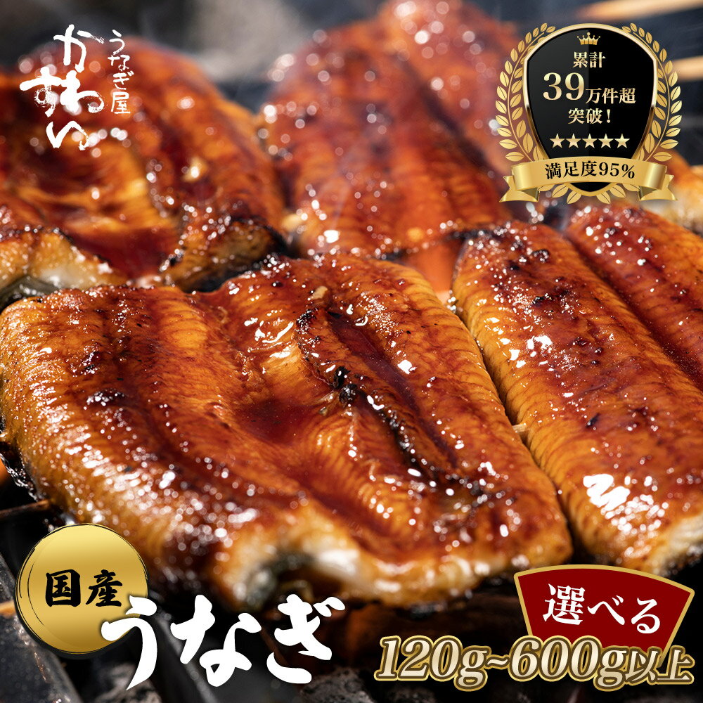 国産うなぎ蒲焼2本セット 120～149g
