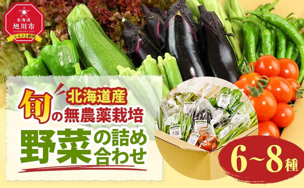 
            《先行予約》【北海道旭川産】旬の野菜詰め合わせ[6～8種類](栽培期間中農薬不使用・化学肥料不使用) 【 サニーレタス 水菜 チンゲンサイ さやえんどう スナップエンドウ さやいんげん ささぎ豆 春大根 ズッキーニ なす トマト きゅうり ししとう なんばん オクラ カボチャ じゃがいも にんじん 北海道産 無農薬栽培 野菜セット 季節の野菜 新鮮 お取り寄せ 野菜ボックス 安全 安心 野菜直送 人気 旭川市 】_02944
          