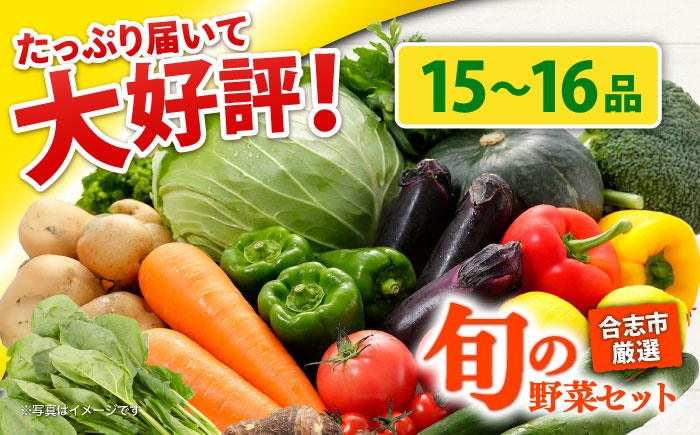 
                  合志の旬のお野菜セット 15〜16品【一般社団法人クラッシーノこうし】野菜 旬 季節 詰合せ 国産 合志市 おまかせ 詰め合わせ 産地 直送 春野菜 夏野菜 秋野菜 冷蔵 根菜 果物 葉物 産地直送 合志 熊本県 熊本 くまもと セット お野菜 ほうれん草 小松菜 ミニトマト さといも さつまいも なす ピーマン しょうが 大根 レタス キャベツ  [AYAB112]
                